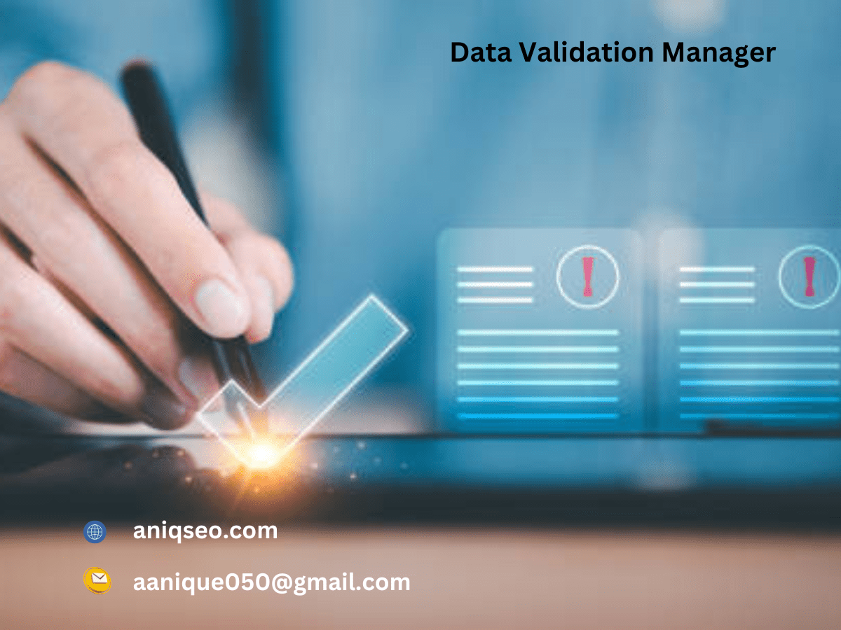 Data Validation Manager